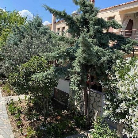 Papadopoulos Houses Nikiti  Exterior photo
