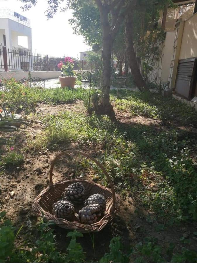 Papadopoulos Houses Nikiti  Exterior photo